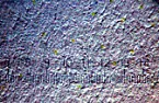 Re: Sweat and food stains vanish under blue light |  On Wed, 10 Sep 2025 12:49:11 -0700, john larkin   ...