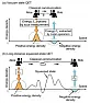 squeezed light for wireless energy transfer  |  Also "quantum refrigeration" seems to make use of "squeezed" ideas:...