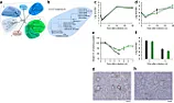 COVID-19 background: A SARS-like cluster of circulating bat coronaviruses shows potential for human emergence  | &laquo; previous thread