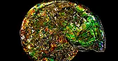 Life Helps Make Almost Half of All Minerals on Earth | &laquo; previous thread