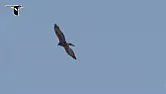 Eagle and thermals  |  My thermals in Eagle are sometimes to conductive.  (I'd like them  thinner...
