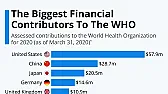 Blame Game Irony  |  Well, of course, nothing was clearly known on 'day one'; the China...