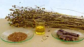 Tisch  |  Hallo, http://de.wikipedia.org/wiki/Lein%C3%B6l Gabi hat eine neue Waschmaschine...