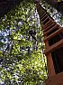 We started the 100-foot long 10-foot wide deck high up in the California redwoods  |  Danny D. wrote, on Tue, 28 Oct 2014 20:48:36 +0000: Flickr turned the animated...