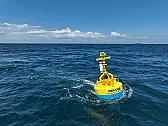 Woods Hole Developed Acoustic Sea Buoys To Protect Marine Life |  Actually the sound that ships make help the whales and other mammals avoid them....