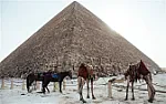 Prad z wiatrakow |  W dniu 2013-12-14 23:23, J.F. pisze: Na ironiê wiatraki s± podpierane...
