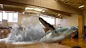 For your viewing pleasure  | &laquo; previous thread