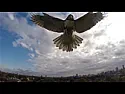 drone defender  | next thread &raquo;