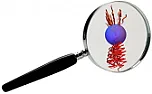 Fastest rotating man-made object created (600 million RPM!)  |  but it's a nice compact package designed to go into a confined space ... How...