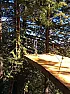 Re: We started the 100-foot long 10-foot wide deck high up in the California redwoods  | next thread &raquo;