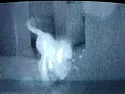 0805 size high power resistors, 250mW ok on FR-4? |  Hey, this happens to big corps too, not just start ups!Look at Cadence for the...