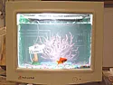 What can i do with an old crt?  |  or donate to this...