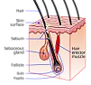 Skin Oil on Power Components |  Even with the right word, it's still a Google challenge.The smoke point of...