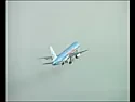 Bird Strike Detector for Jets??  |  :Bird sucked into engine during take...