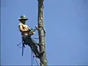 USB Chainsaw |  Now, the tag line:http://www.usbchainsaw.com/reveal.html:-)Cheers Don...-- Don...