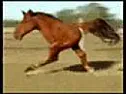 Odnos te¾ina --> energija --> generator  | next thread &raquo;