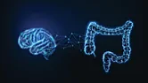 OT?: What you eat and your brain.. |  The secret to human intelligence? It might be in our gut Your gut microbes may...