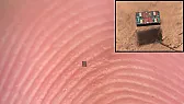 Watch out for those little PCB pieces, those may be robots! |  Scientists create robots smaller than a grain of salt that can think Researchers...