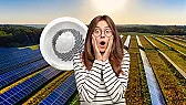 stupid idea of the day | &laquo; previous thread