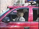 Tuuttuut-beepbeep!  | next thread &raquo;