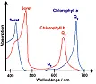 COB-LEDs UV-Entwicklung?  |  Hallo NG, Wie sieht das bei den COB-LEDs mit der UV-Abstrahlung aus? Schutzglas?...