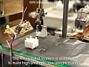Magnetically Actuated Micro-Robots for Advanced Manipulation  | next thread &raquo;