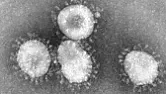 Scientists say new disinfectant protects surfaces from coronavirus for 90 days  |  Ohhhh, Scientists! --  John LarkinHighland Technology, Inc Science teaches us to...