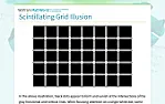 Re: Black Level on TVs, was: Why is video inverted for transmission? | &laquo; previous thread
