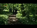 "Moderne" Technik im Kinderfernsehen  | next thread &raquo;