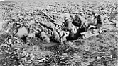 Veteran's Day, 11-11-2012  |  We need to ban these commemorations since they're just another propaganda t...