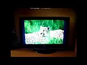 TV LCD LG odtwarzanie z USB???? | next thread &raquo;