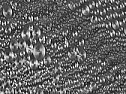 GaAs-Fets bei kleinen Frequenzen 10 kHz-x00 MHz  |  Leider gibts zu dem kein Datenblatt. Aber wenn es sowieso egal ist welchen man...