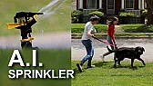 A Raspberry Pi sprinkler that detects people and sprays them |  Picking the V2 over the V3 seems like the smart call to me. Since the V3 does...