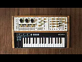 A self-built analog monosynth with a keyboard inside a wooden case |  Plenty of DIY synth projects end up as loose modules with nowhere to live, and...