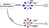 Original Antigenic Sin | &laquo; previous thread