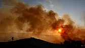 California Is Climate Disaster |  The drought and heat waves are not something temporary, they are the new...