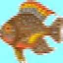 Kondensatoraufdrucke  | &laquo; previous thread
