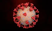 It's Here: Lambda Variant Is Vaccine Resistant | &laquo; previous thread