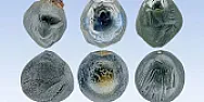 OT-- Oddball question, very fine magnetic powder in the air. |  I tried to get some pictures under the microscope, they don't show a lot,...