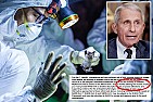 Confirmed: Fauci LIED about Wuhan lab funding | next thread &raquo;