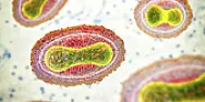 Experts debate the risks of made-to-order DNA | &laquo; previous thread