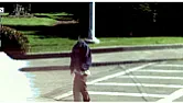 google maps street view  |  and for your viewing...