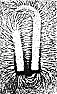 Source Impedance II  |  I am using a 15uH, 17 turn, 30mm internal ldiameter coil with 150nFresonating...