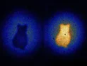 Gravity waves vs electromagnetic waves  |  The size of the quanta doesn't matter. There is no need whatever to invoke...