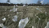 Microplastics are raining down from the sky  | &laquo; previous thread