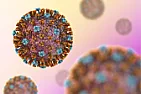 World-first trial for universal flu vaccine  | next thread &raquo;