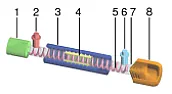 Distributed Amplifier  |  So, distributed amps are made with a terminator on one end and  input/output on...