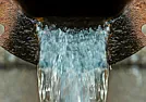 Countries Begin Large-Scale Screening for SARS-CoV-2 in Sewage  | &laquo; previous thread