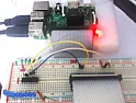 Using Shift resister with raspberry pi  |  Hi I am just beginner with raspberry pi. I am trying to use shift resistor with...