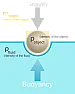 How does buoyancy work?  |  I know this isn't the right group for this question, but I want an answer an...